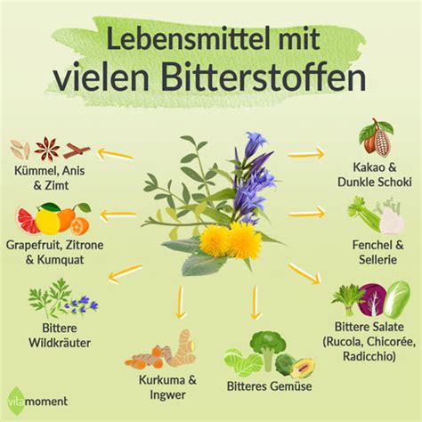 Infografik: Bitterstoffe und ihre Wirkung auf Appetit und Sättigung