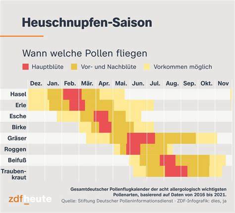 Infografik: Blütenvielfalt des Anzer Plateaus und Pollenarten