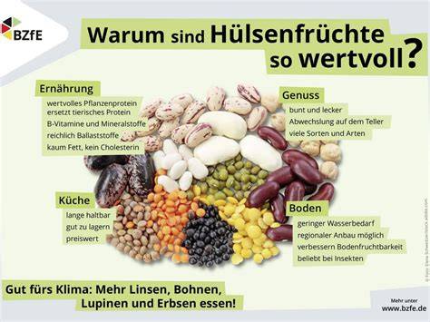 Infografik: Blindbacken mit Hülsenfrüchten und Füllungsschritte