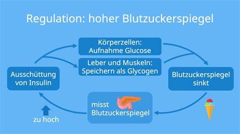 Infografik: Blutzuckerspiegel und Zuckerersatzstoffe