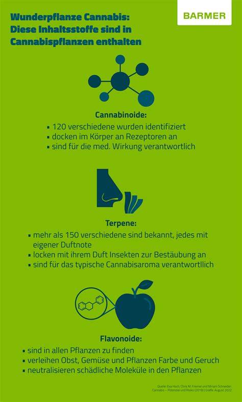 Infografik: CBD- und Hanf-Schokoladenübersicht (Sorten, Inhaltsstoffe, Wirkung)