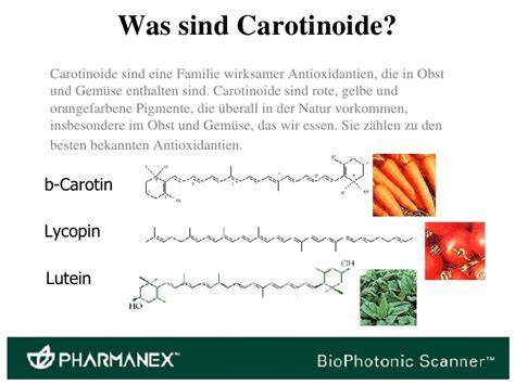 Infografik: Carotinoide - Quellen, Funktion, Stabilität