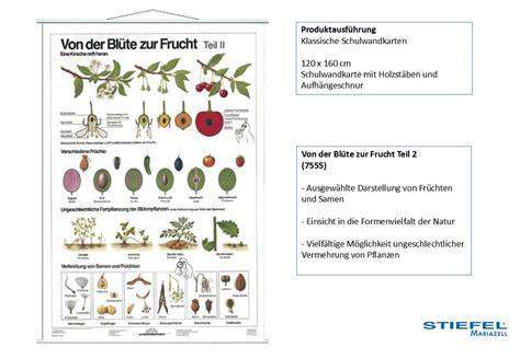 Infografik: Der Weg von der Frucht zur Marmelade
