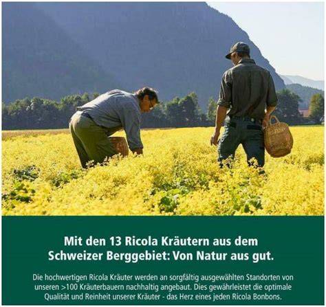 Infografik: Die 13 Schweizer Bergkräuter von Ricola