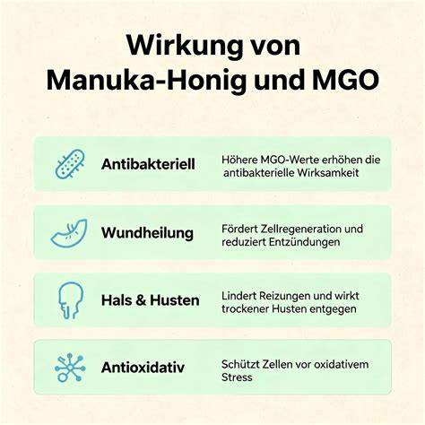 Infografik: Die Wirkung von Honig auf Bakterien