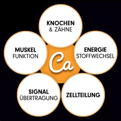 Infografik: Dos and Don'ts bei der Einnahme von Calcium Tabletten