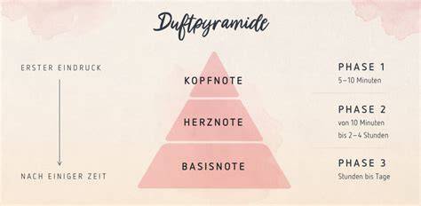 Infografik: Duftaufbau von Kopf-Herz-Basisnoten