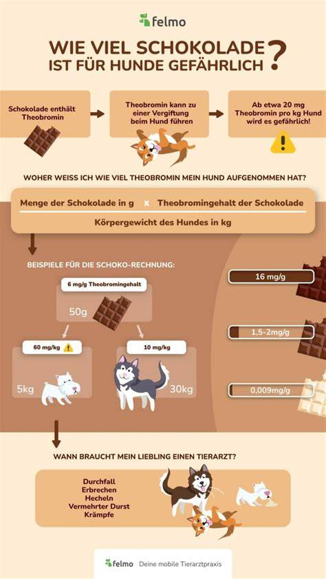 Infografik: Dunkle Schokolade & Fruchtkombinationen