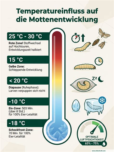 Infografik: Einfluss von Temperatur, Licht und Feuchtigkeit auf Honig