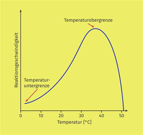 Infografik: Einfluss von Temperatur und Zeit auf Karamellfarbe und Acrylamidbildung
