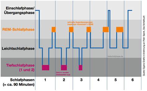 Infografik: Einfluss von Zucker auf Schlafphasen (Leichtschlaf, Tiefschlaf, REM)