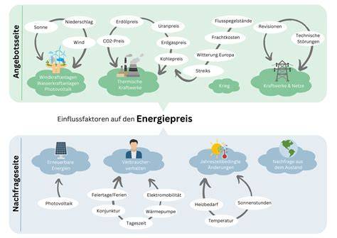 Infografik: Einflussfaktoren auf den Autoflower-Ertrag (Licht, Topf, Training, Nährstoffe)