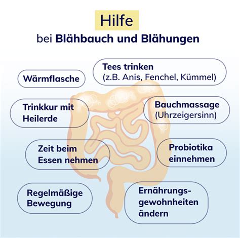 Infografik: Entstehung von Blähungen im Verdauungstrakt