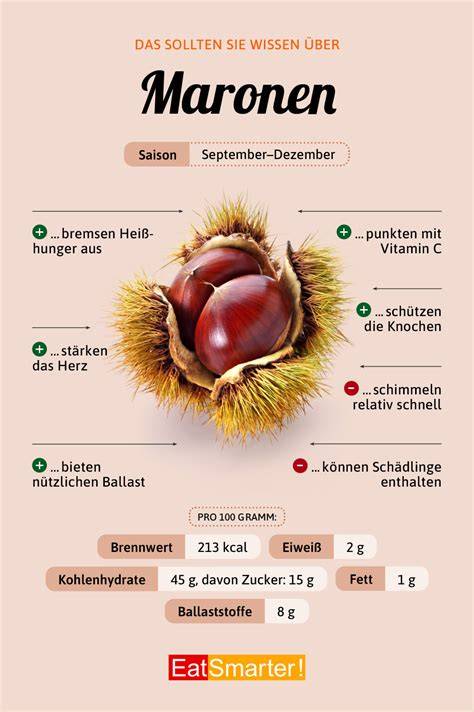 Infografik: Erdbeer-Kokos Kombination und ihre vielfältigen Verwendungsmöglichkeiten