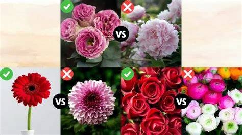 Infografik: Essbare vs. giftige Blumen und sichere Alternativen