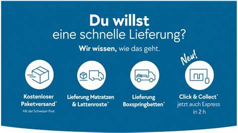 Infografik: Express-Tortenversand und Lieferoptionen