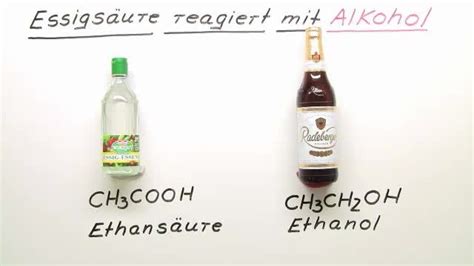 Infografik: Fermentationsphasen und Produkte (Kohlensäure, Alkohol, Essigsäure)