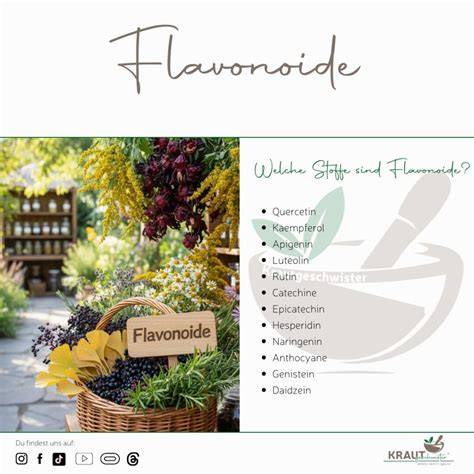 Infografik: Flavonoide in Kakao und ihre Wirkungen auf Herz und Gefäße