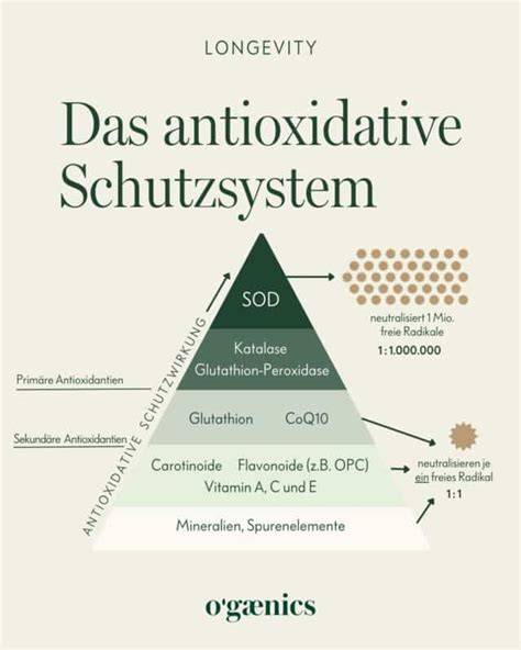 Infografik: Flavonoide und Antioxidantien in Kakao