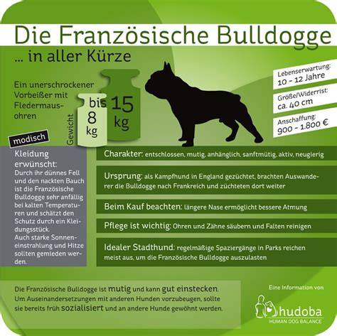 Infografik: Französische Croissant-Etikette