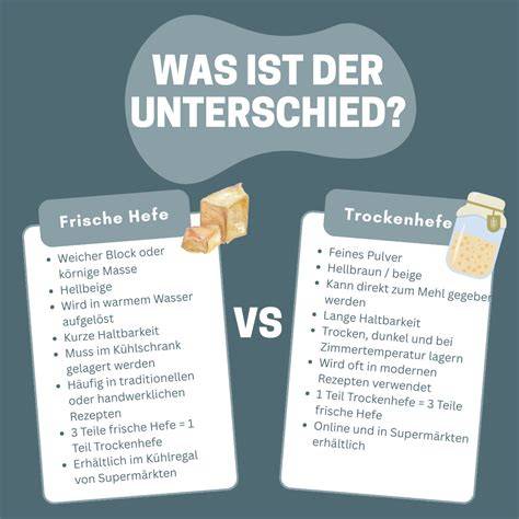 Infografik: Frische vs. Dosenpfirsiche - Vorbereitung und Abtropf-Tipps