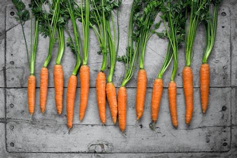 Infografik: Funktion und Herkunft von Carotinoiden