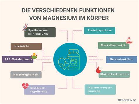 Infografik: Funktionen von Magnesium im Körper