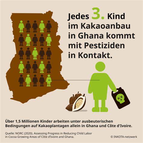 Infografik: Gefährliche Pestizide im Kakaoanbau und ihre Risiken