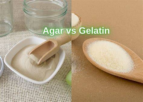 Infografik: Gelatine vs. Agar-Agar - Bindung für Käsekuchencremes