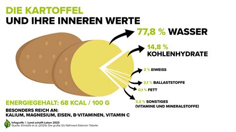 Infografik: Gesunde Inhaltsstoffe von Haferflockenkeksen