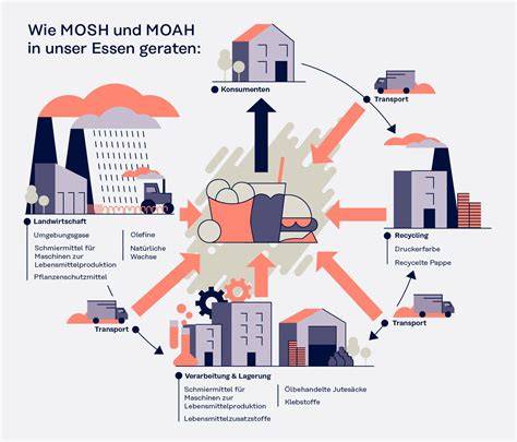 Infografik: Gesundheitliche Risiken von MOSH und MOAH, Quelle EFSA/BfR