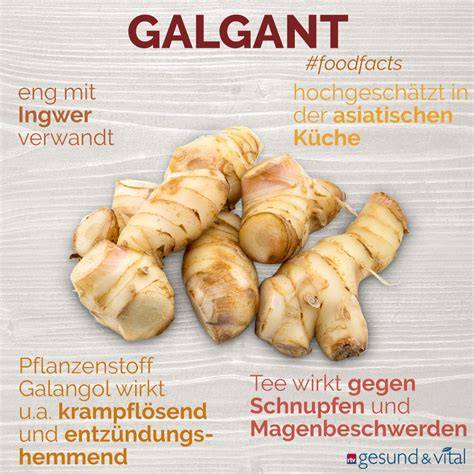 Infografik: Gesundheitsfördernde Inhaltsstoffe des Ingwers