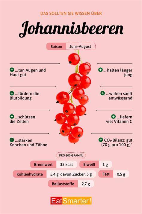 Infografik: Gesundheitsvorteile von Johannisbeeren und Quark