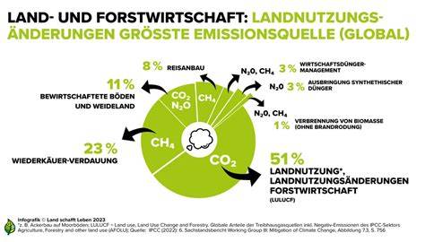 Infografik: Globale Palmöl-Industrie - Flächen, Emissionen, Biodiversität