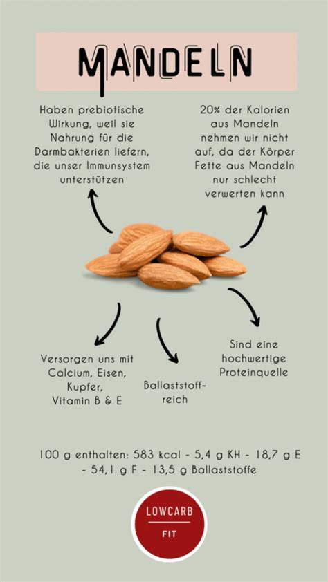 Infografik: Grundrezept für Marzipan - Mandeln, Zucker, Rosenwasser