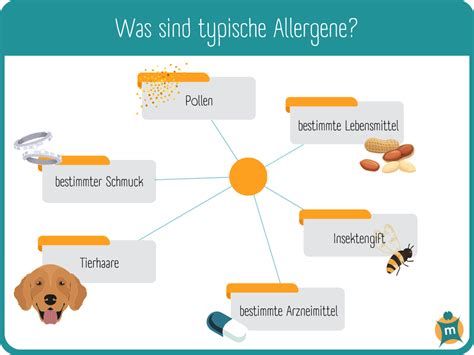 Infografik: Häufige Allergene in Waffel-Teigen und Toppings