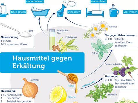 Infografik: Hausmittel und ihre Wirkung bei Erkältung