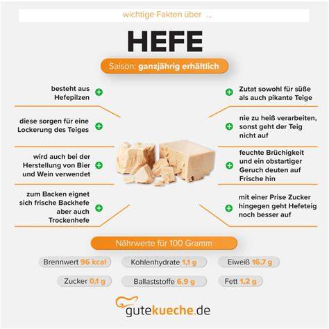 Infografik: Hefe, Zucker und Temperatur