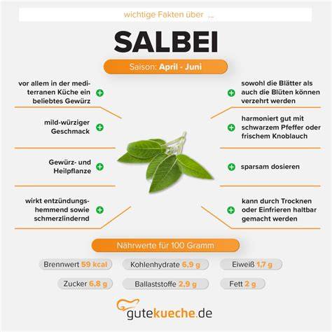 Infografik: Heilkräfte von Salbei