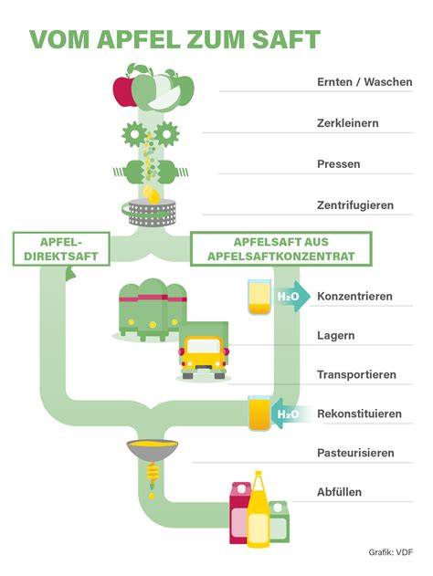 Infografik: Herstellung von Gelee aus Fruchtsaft