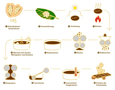 Infografik: Herstellungsprozess Schokolade von Bohne bis Conchieren