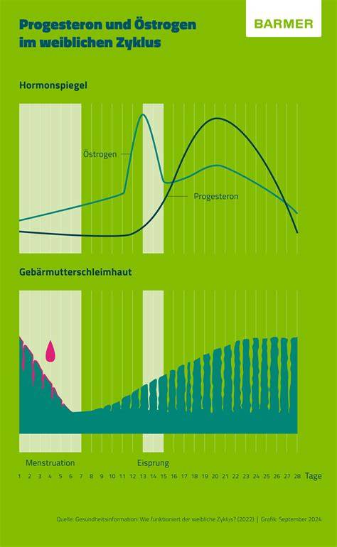 Infografik: Hormone der Geburtsvorbereitung