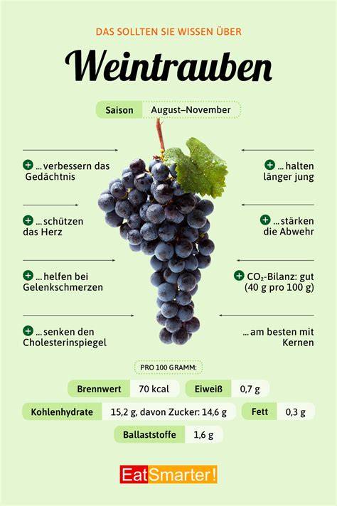 Infografik: Inhaltsstoffe und gesundheitlicher Mehrwert von Weintrauben