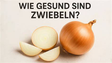 Infografik: Inhaltstoffe und gesundheitliche Wirkung der Zwiebel