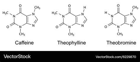 Infografik: Koffein vs. Theobromin - Halbwertszeiten und Wirkstärke