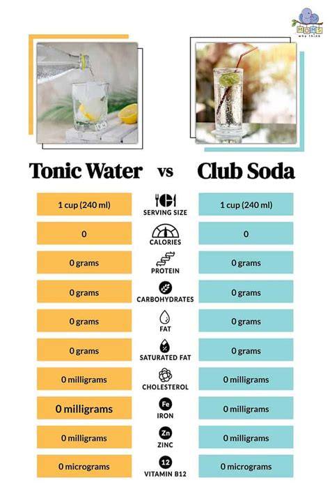 Infografik: Kombinations-Guide Gin-Profil vs Tonic