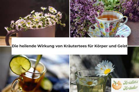 Infografik: Kräutertees und ihre Wirkung auf Husten