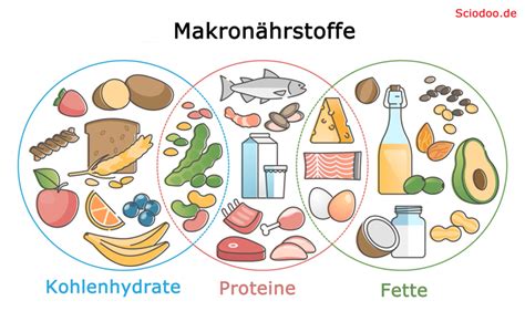 Infografik: Makronährstoffe der Low-Carb-Protein-Waffeln
