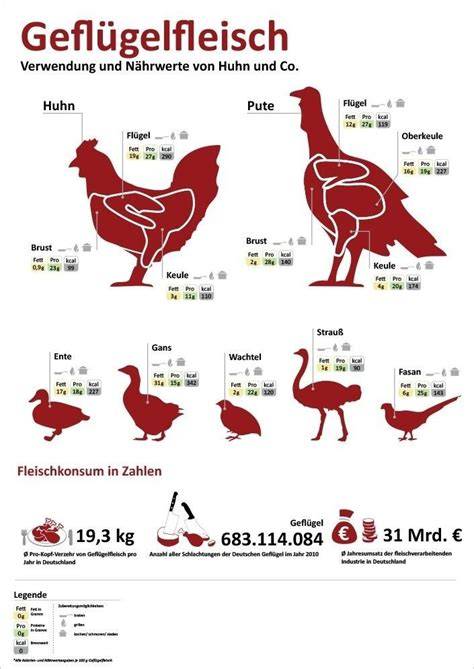Infografik: Marinierzeiten für Geflügel, Rind, Schwein, Fisch und Gemüse