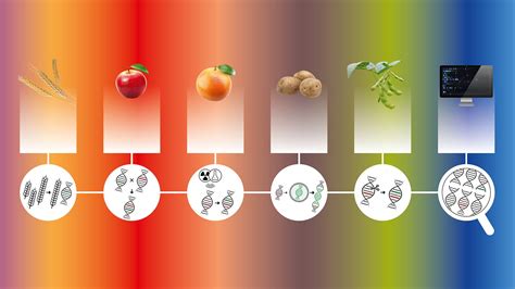 Infografik: Methoden der Teeaomatisierung - Mischen, Dämpfen, Besprühen